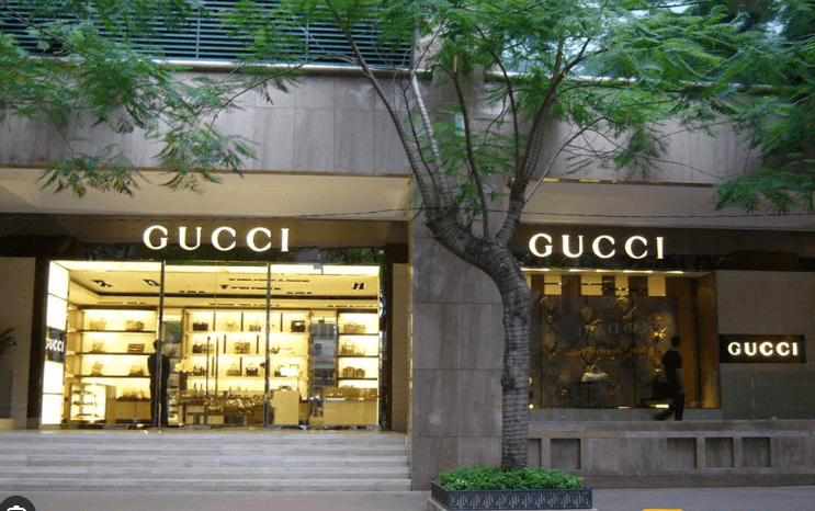 A Gucci Store Mocked and Denied Entry to a Player for Dressing Too Plain – Within 24 Hours They Paid the Price When They Learned He Was a Star of Packers